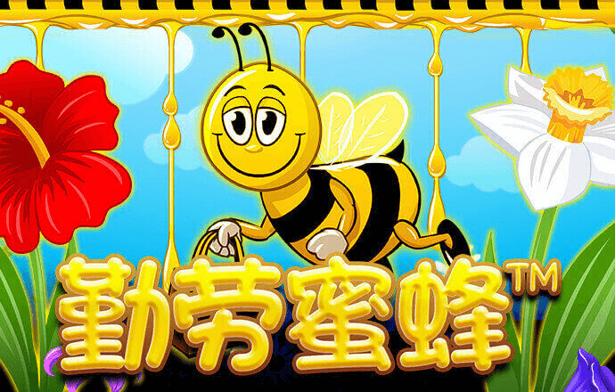 ng28南宫体育平台官网版